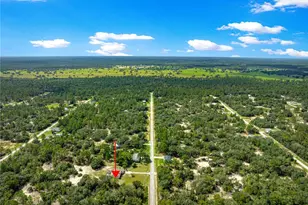 4731 SW Gardenia Ct, Dunnellon, FL 34431 - Photo 58