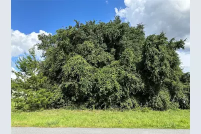 000 SW 128th Place, Ocala, FL 34473 - Photo 2