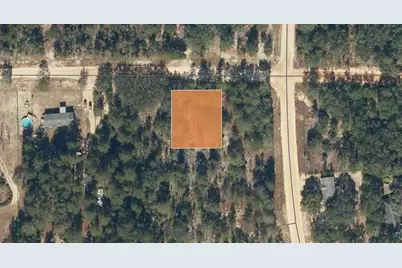 Tbd Rose Trl, Interlachen, FL 32148 - Photo 2