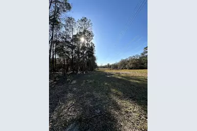 Tbd NE 151 Lane, Fort Mc Coy, FL 32134 - Photo 2