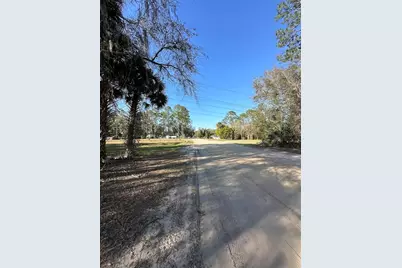 Tbd NE 151 Lane, Fort Mc Coy, FL 32134 - Photo 8