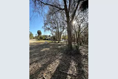 Tbd NE 151 Lane, Fort Mc Coy, FL 32134 - Photo 6