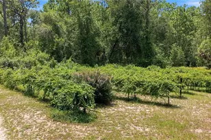 5257 N Satin Terrace, Dunnellon, FL 34432 - Photo 18