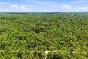 5257 N Satin Terrace, Dunnellon, FL 34432 - Photo 10