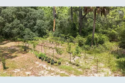 5257 N Satin Terrace, Dunnellon, FL 34432 - Photo 6