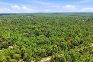 5257 N Satin Terrace, Dunnellon, FL 34432 - Photo 22