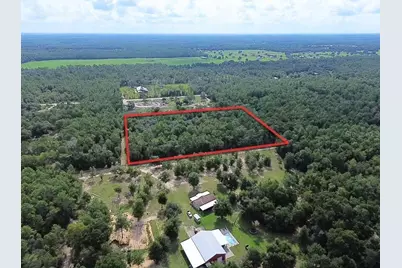 Tbd NE 135th Terrace, Williston, FL 32696 - Photo 2