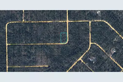 Tbd Tamarac Road, Marianna, FL 32448 - Photo 2