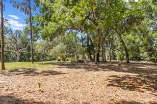 1255 S Estate Point, Inverness, FL 34450 - Photo 44