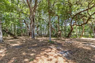 1255 S Estate Point, Inverness, FL 34450 - Photo 42