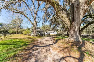 15151 NW 162nd Terrace, Williston, FL 32696 - Photo 10