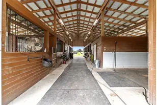 15151 NW 162nd Terrace, Williston, FL 32696 - Photo 64