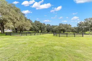 15151 NW 162nd Terrace, Williston, FL 32696 - Photo 70