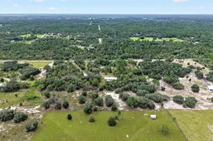 13291 SE 101st Pl, Dunnellon, FL 34431 - Photo 8