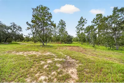 13291 SE 101st Place, Dunnellon, FL 34431 - Photo 22