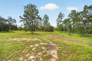 13291 SE 101st Pl, Dunnellon, FL 34431 - Photo 22