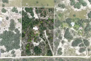 13291 SE 101st Pl, Dunnellon, FL 34431 - Photo 6