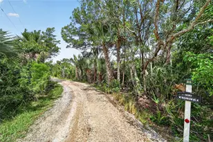 14141 W Boardwalk Ln, Crystal River, FL 34429 - Photo 58