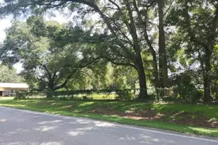 3626 SE 139th St, Summerfield, FL 34491 - Photo 2