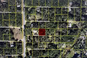 3129 NE 162 Pl, Citra, FL 32113 - Photo 1