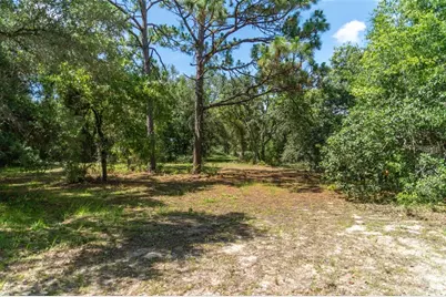 4695 N Pine Valley Loop, Lecanto, FL 34461 - Photo 20