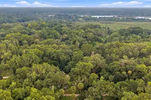 3580 NE 160th Ln, Citra, FL 32113 - Photo 34