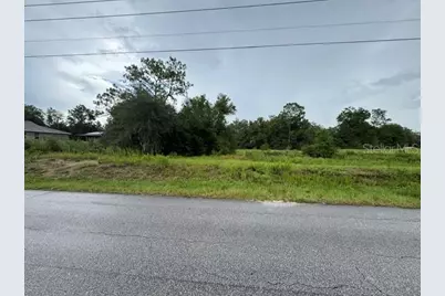 00 SW 204th Avenue, Dunnellon, FL 34431 - Photo 4