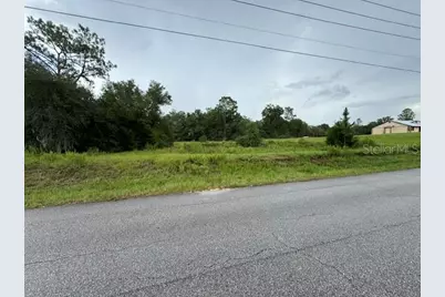 00 SW 204th Avenue, Dunnellon, FL 34431 - Photo 2