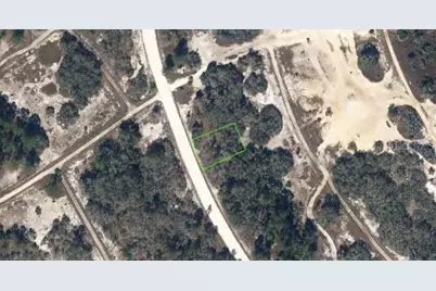 323 Wildwood Drive, Lake Placid, FL 33852 - Photo 1