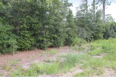 00 SW Floral Court, Dunnellon, FL 34431 - Photo 2