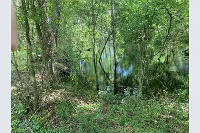 Tbd2 SW 129th Boulevard, Webster, FL 33597 - Photo 2