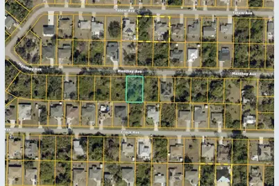 Manthey Avenue, North Port, FL 34291 - Photo 2