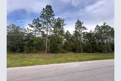 Tbd NE 150th Avenue, Williston, FL 32696 - Photo 1