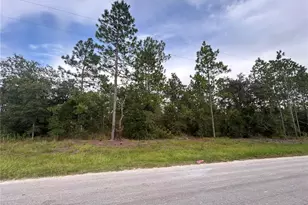 Tbd NE 150th Ave, Williston, FL 32696 - Photo 1