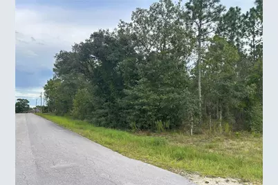 Tbd NE 150th Avenue, Williston, FL 32696 - Photo 4