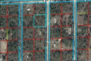 00 NE 124th Terrace, Williston, FL 32696 - Photo 1