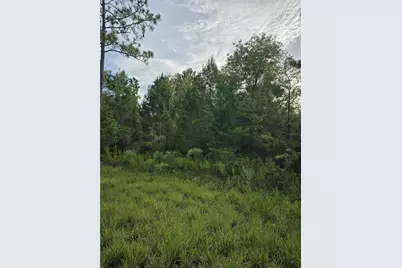 00 NE 124th Terrace, Williston, FL 32696 - Photo 2