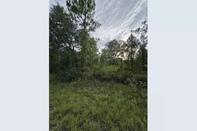 00 NE 124th Terrace, Williston, FL 32696 - Photo 4