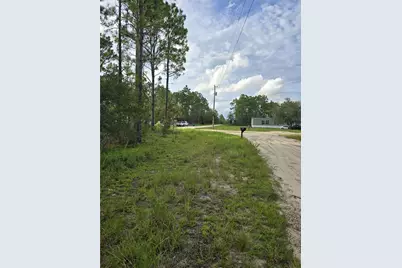 00 NE 124th Terrace, Williston, FL 32696 - Photo 6