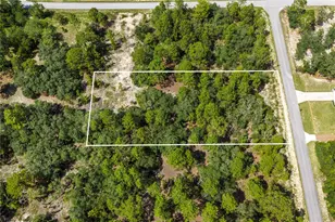000 SW Lobelia Ct, Dunnellon, FL 34430 - Photo 1