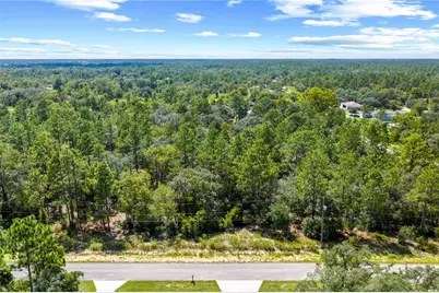 000 SW Lobelia Ct, Dunnellon, FL 34430 - Photo 12