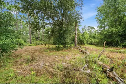 8565 SW 156th Place, Dunnellon, FL 34432 - Photo 2