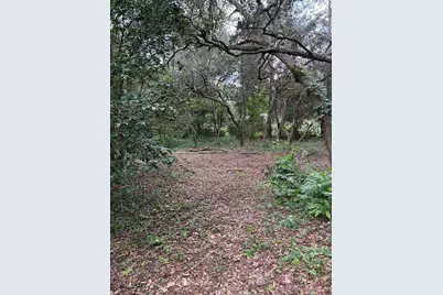 4555 SW 175 Court, Dunnellon, FL 34431 - Photo 4