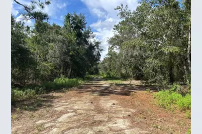 1631 NE 123rd Terrace, Williston, FL 32696 - Photo 4