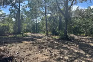 1631 NE 123rd Terrace, Williston, FL 32696 - Photo 1