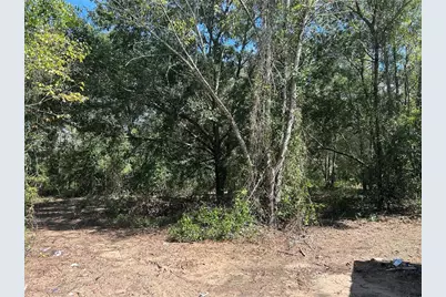 1631 NE 123rd Terrace, Williston, FL 32696 - Photo 2