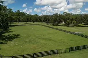7970 NW 120th St, Reddick, FL 32686 - Photo 50