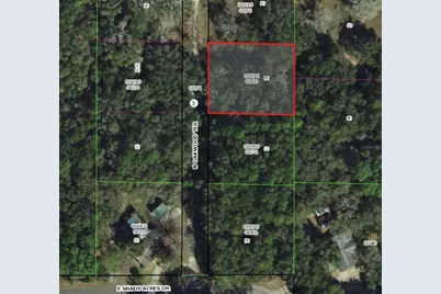 189 N Oakwood Terrace, Inverness, FL 34453 - Photo 6