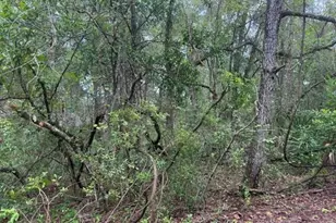 177 N Oakwood Terrace, Inverness, FL 34453 - Photo 1