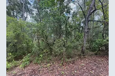 177 N Oakwood Terrace, Inverness, FL 34453 - Photo 2
